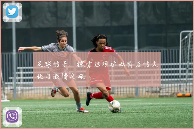 足球的子：探索这项运动背后的文化与激情之旅